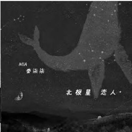 《北极星恋人》封面