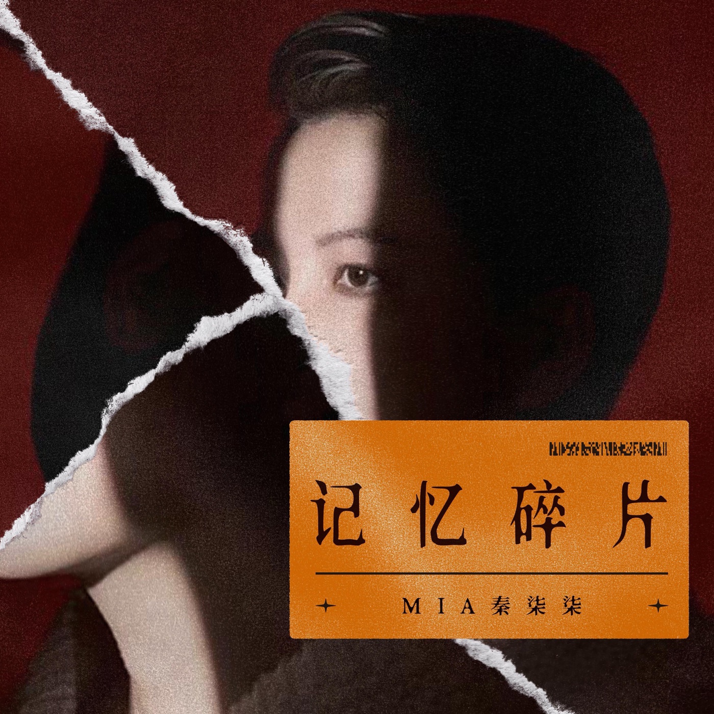 《记忆碎片》翻唱专辑封面